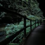 Unveiling Japan’s Hidden Autumn Magic: Firefly Valleys and Secret Onsen Trails You’ve Never Heard Of