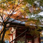 Secret Cafés of Gion: Discover Kyoto’s Autumn Sweets & Timeless Traditions