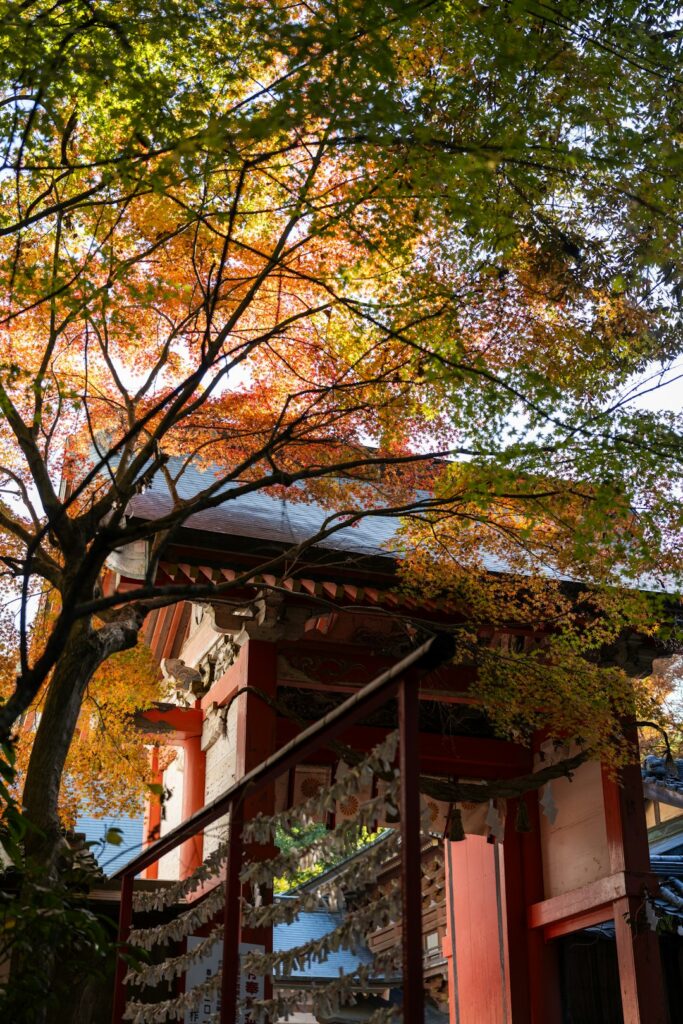 Secret Cafés of Gion: Discover Kyoto’s Autumn Sweets & Timeless Traditions