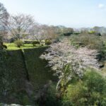 Hidden Lights of Autumn: Japan’s Lesser-Known Nighttime Illumination Gems Beyond Kyoto