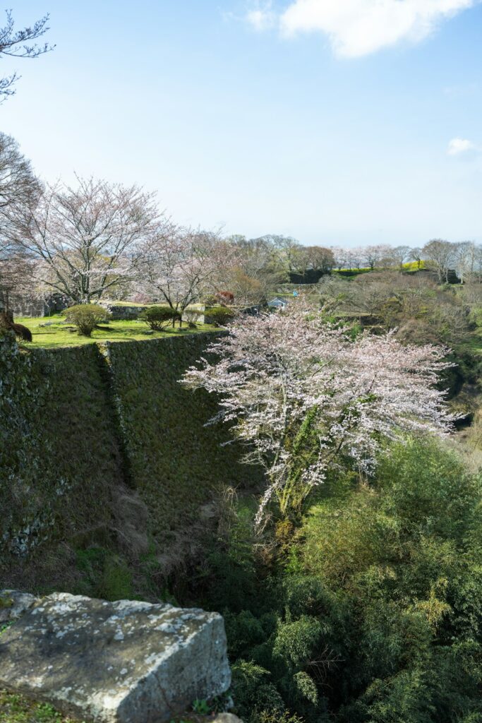Hidden Lights of Autumn: Japan’s Lesser-Known Nighttime Illumination Gems Beyond Kyoto