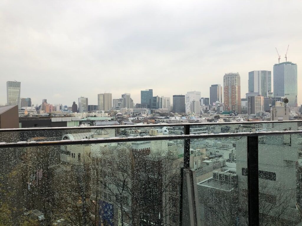 Tokyo’s Rooftop Sauna Revolution: Unveiling the City’s Secret Urban Wellness Havens