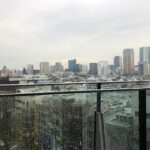 Tokyo’s Rooftop Sauna Revolution: Unveiling the City’s Secret Urban Wellness Havens