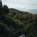 Glamping Under the Maple Canopy: Japan’s Hidden Forest Temples & Countryside Retreats for the Adventurous Soul
