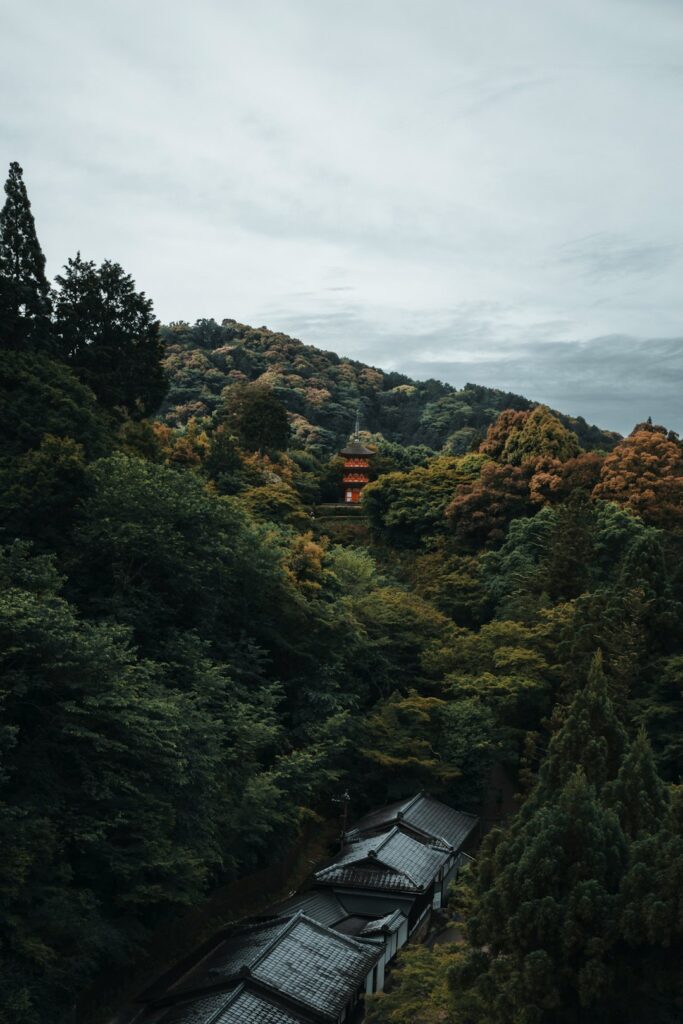 Glamping Under the Maple Canopy: Japan’s Hidden Forest Temples & Countryside Retreats for the Adventurous Soul