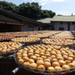 Taste the Secret Flavors of Japan: An Insider’s Guide to Hidden Autumn Food Festivals and Seasonal Delicacies