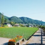 Hidden Feasts: Exploring Japan’s Secret Pop-Up Farm-to-Table Dining in Rural Villages