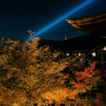 Unveiling Kansai’s Hidden Terraced Rice Fields: An Enchanting Autumn Night Illumination Only Locals Know