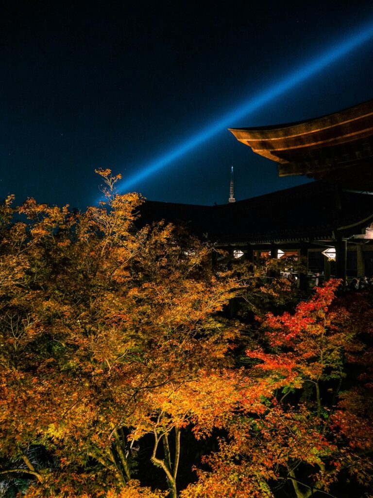Unveiling Kansai’s Hidden Terraced Rice Fields: An Enchanting Autumn Night Illumination Only Locals Know