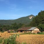 Unplug & Reconnect: Discover Japan’s Hidden Satoyama Through Sustainable Farm Life and Wild Foraging Tours