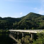 Into the Heart of Shikoku: Discover Japan’s Secret Forest Retreats and Mindful Shinrin-yoku Adventures