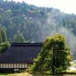 Into the Mist: Discovering Japan’s Secret Forest Saunas for Ultimate Relaxation