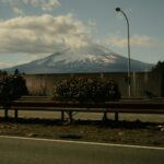 Sipping Serenity: Discover Japan’s Hidden Forest Cafés Transforming Coffee Culture