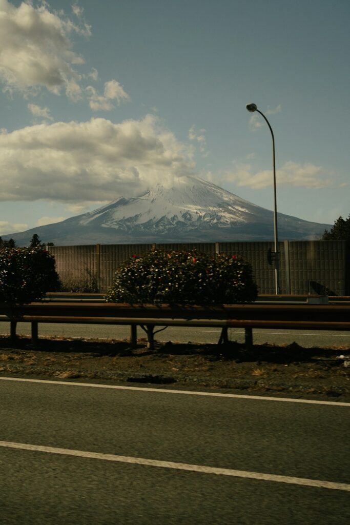 Sipping Serenity: Discover Japan’s Hidden Forest Cafés Transforming Coffee Culture