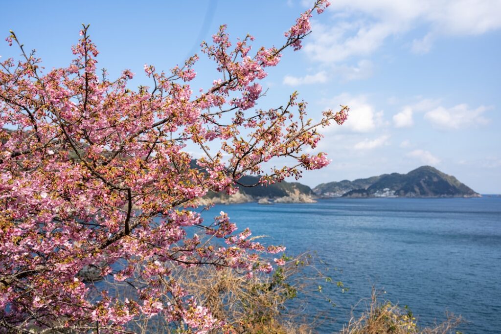 Shodoshima Unveiled: Experience Local Olive Harvest & Mediterranean Vibes on Japan’s Hidden Island