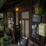Sip, Soothe, and Soak in Nature: Discover Japan’s Hidden Forest Immersion Cafés