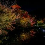 Enchanted Evenings: Discover Japan’s Hidden World of Illuminated Castles & Temples This Autumn