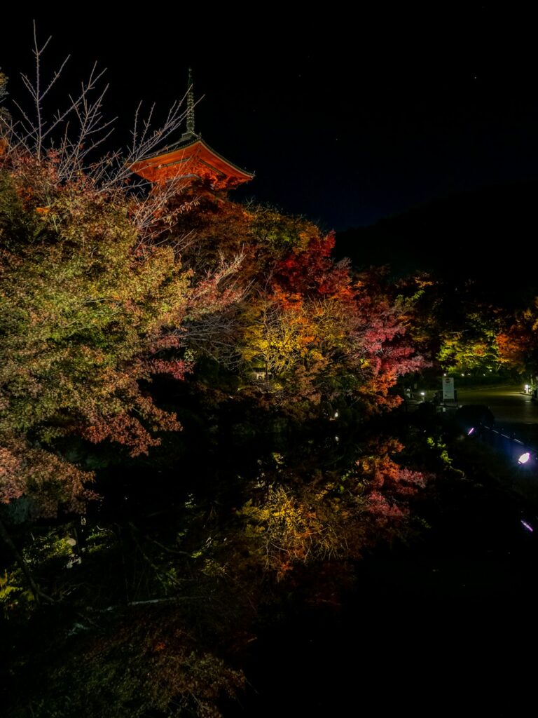 Enchanted Evenings: Discover Japan’s Hidden World of Illuminated Castles & Temples This Autumn