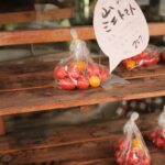 Unveiling Japan’s Autumn Wagashi Secrets: Rare Rural Sweets You’ve Never Tasted