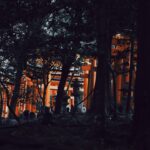 Kyoto’s Enchanted Nights: Discover Hidden Zen Experiences Beyond Temple Gates