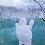 Biei’s Winter Canvas: Discover Japan’s Hidden Snow Art Festival in Hokkaido 2025