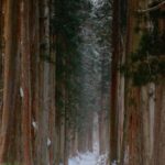 Beyond Zen: Immersing Yourself in Sustainable Snow Camping and Farm Life in Nagano’s Secret Togakushi