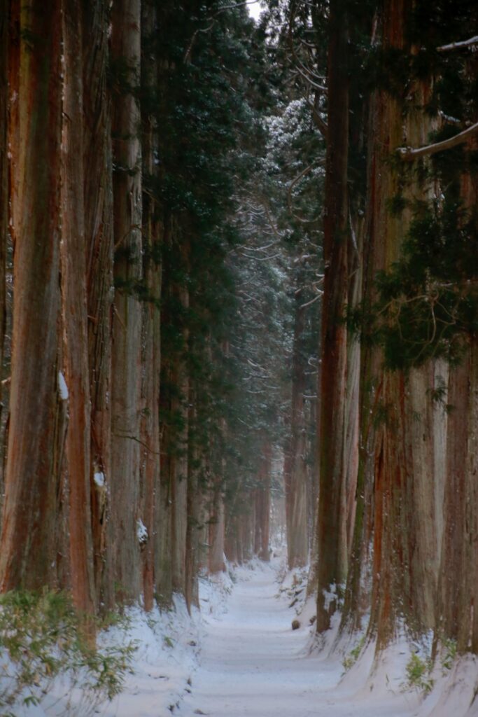 Beyond Zen: Immersing Yourself in Sustainable Snow Camping and Farm Life in Nagano’s Secret Togakushi