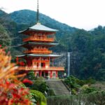 Walking Ancient Paths Anew: The Kumano Kodo’s Modern Revival Through Local Wisdom and Nature