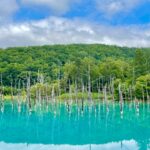 Into Hokkaido’s Hidden Forests: Discover 2026’s Most Magical Glamping Escapes