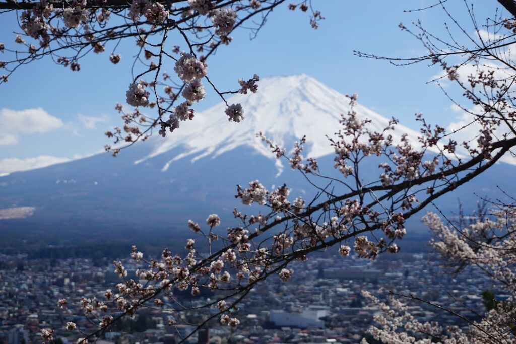 Hidden Blossoms and Secret Trails: Discovering Yamanashi’s Untouched Spring Wonders
