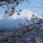 Hidden Blossoms and Secret Trails: Discovering Yamanashi’s Untouched Spring Wonders