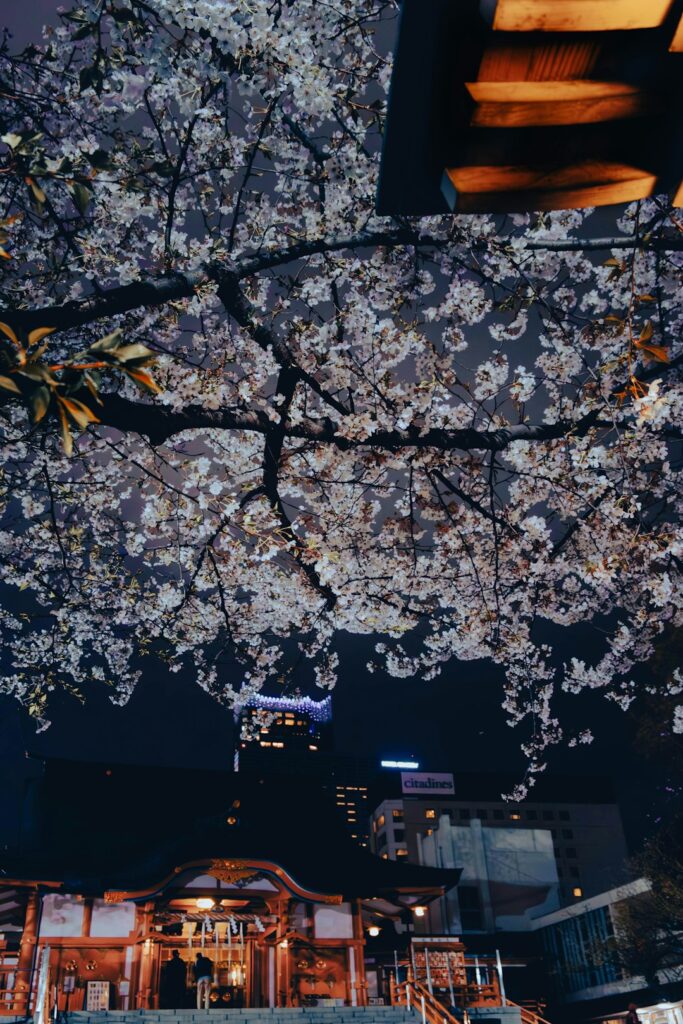 Tokyo Night Sakura Unveiled: Hidden Hanami Gems and Gourmet Street Eats in 2026