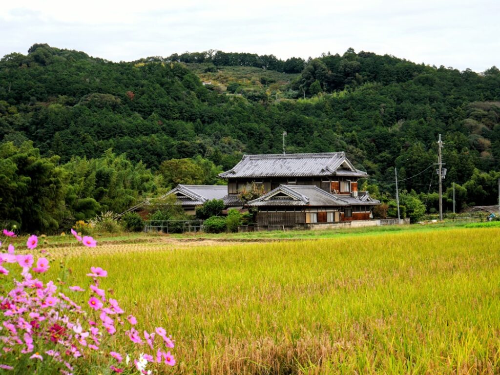Escape to Satoyama: Discover Japan’s Hidden Countryside Through Unforgettable Glamping Adventures