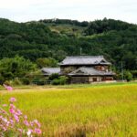 Escape to Satoyama: Discover Japan’s Hidden Countryside Through Unforgettable Glamping Adventures