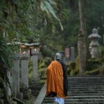 Walking with Monks: Unlocking Shikoku’s Secret Temples and Mindful Journeys in 2026