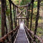 Into the Heart of Shikoku: Discover Japan’s Secret Forest Therapy Sanctuaries