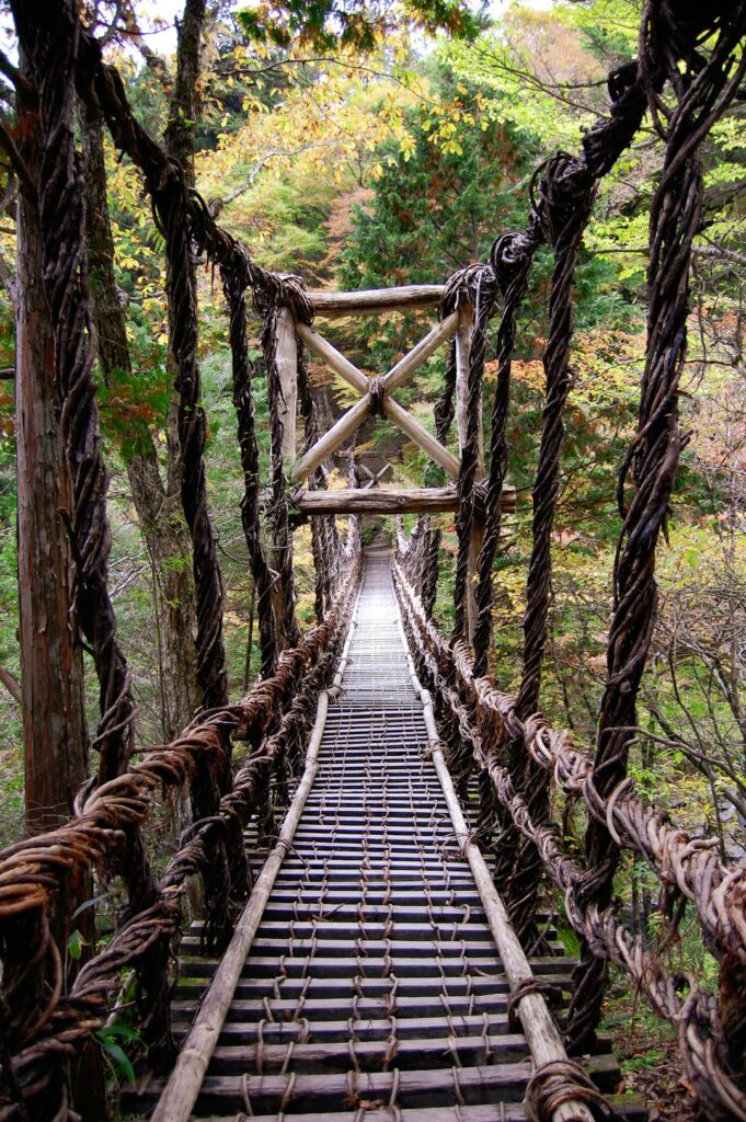 Into the Heart of Shikoku: Discover Japan’s Secret Forest Therapy Sanctuaries